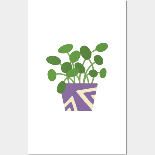 Chinese Money Plant Posters and Art